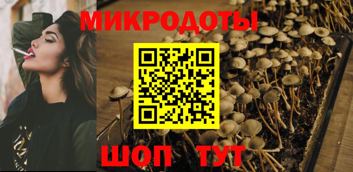 Псилоцибиновые грибы ЛСД  Вход с VPN  Сердобск 